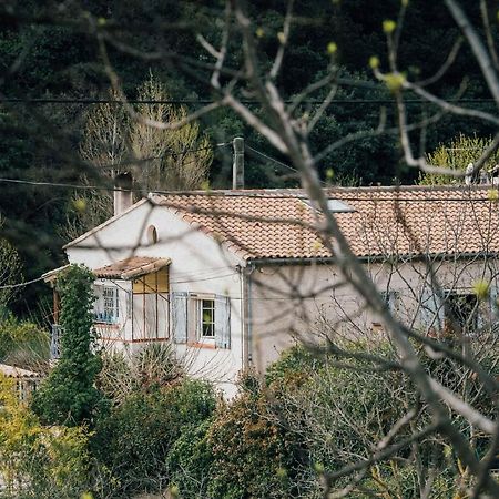 Maison D'Hotes Eco-Responsable Avec Piscine 6X12M Châteaudouble 외부 사진
