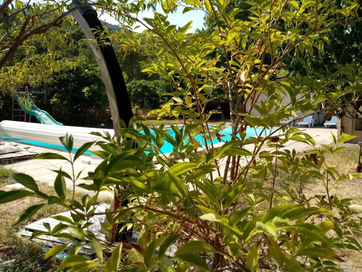 Maison D'Hotes Eco-Responsable Avec Piscine 6X12M Châteaudouble 외부 사진