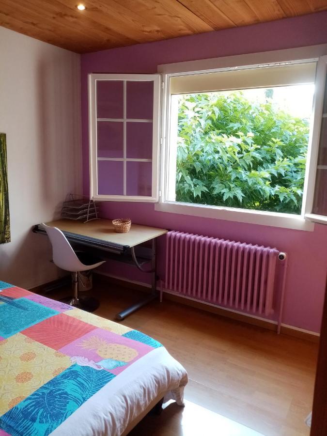 Maison D'Hotes Eco-Responsable Avec Piscine 6X12M Châteaudouble 외부 사진