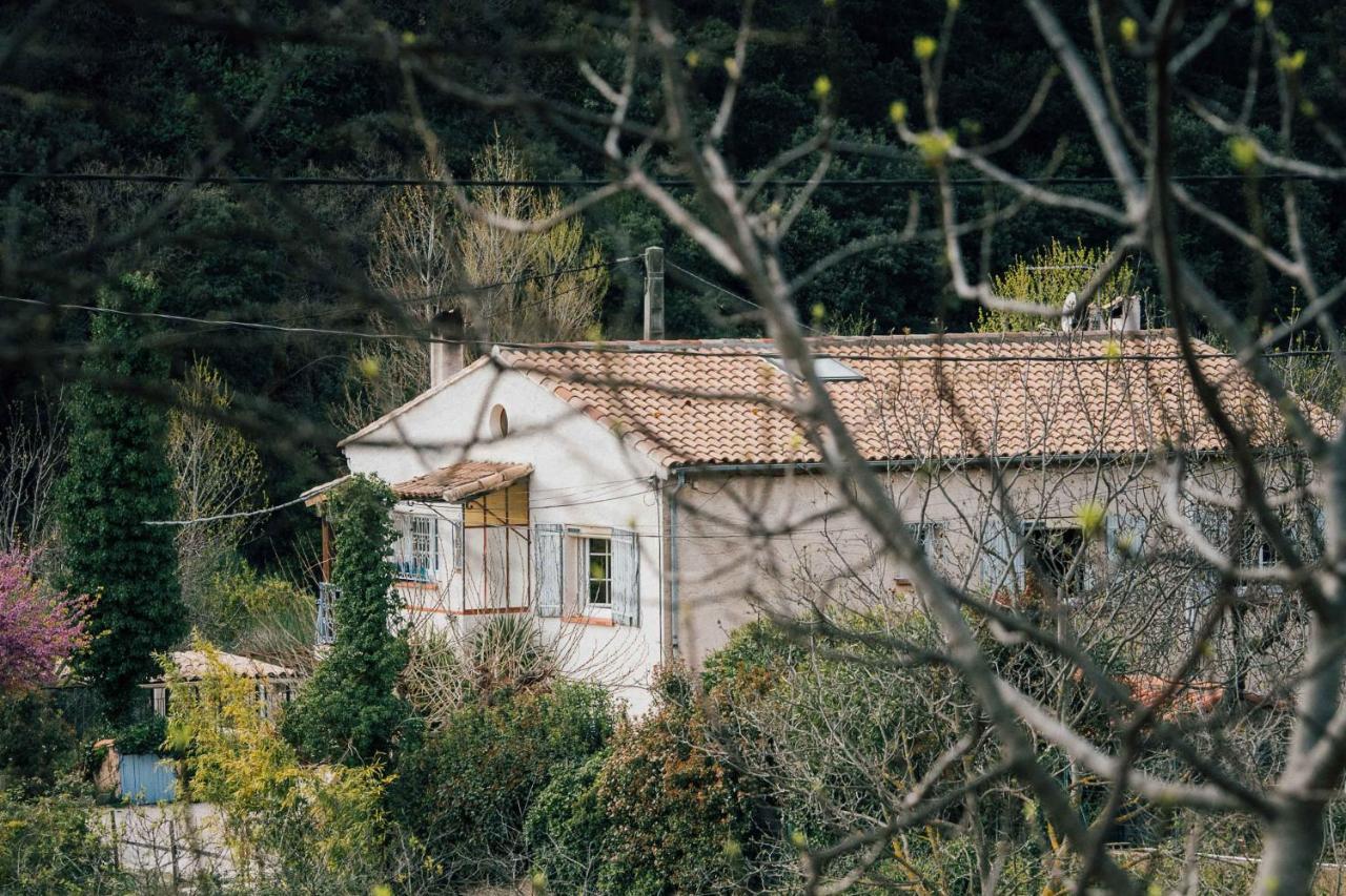 Maison D'Hotes Eco-Responsable Avec Piscine 6X12M Châteaudouble 외부 사진